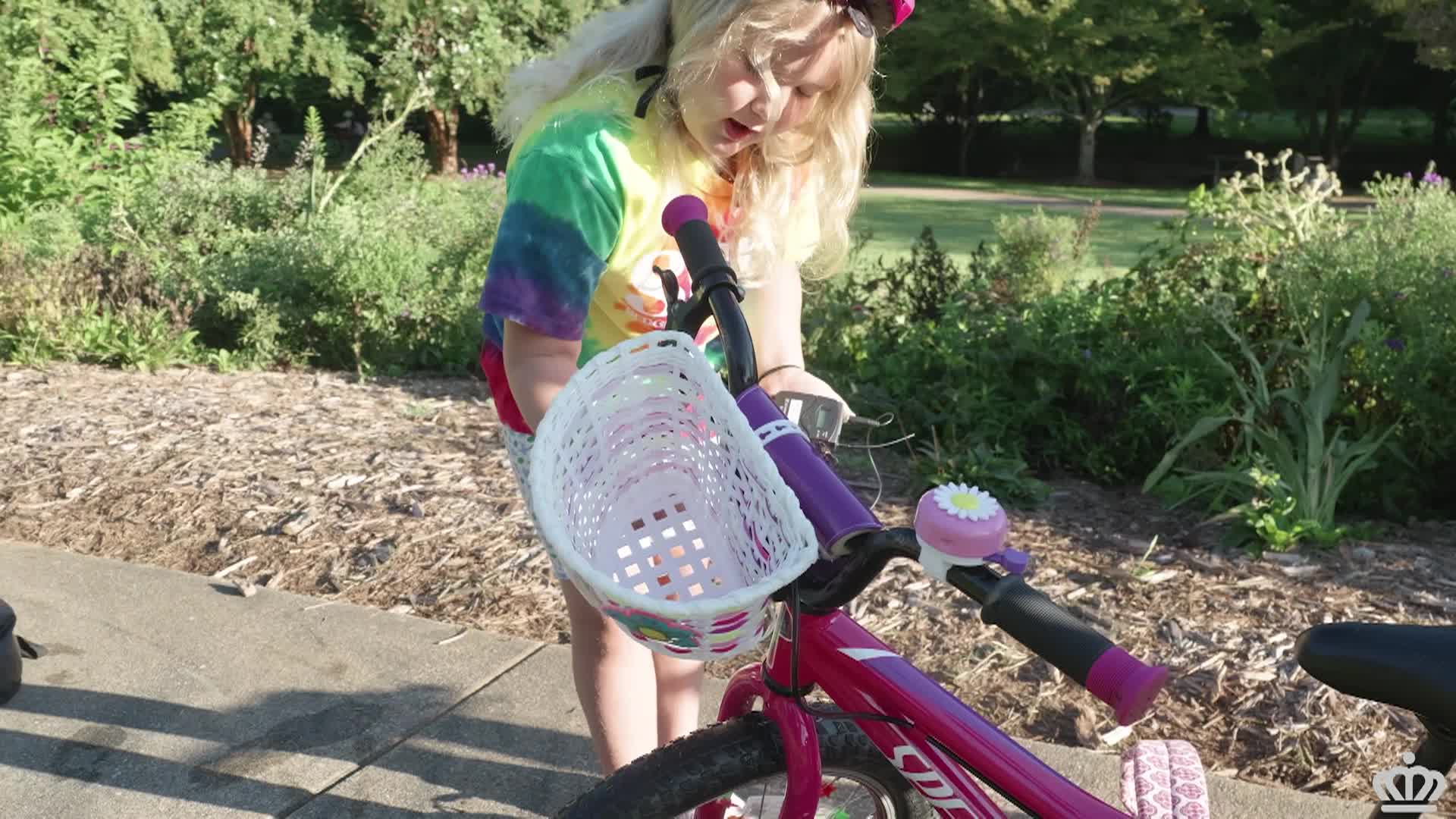 Thumbnail image for BB BIKE BUS FINAL PKG