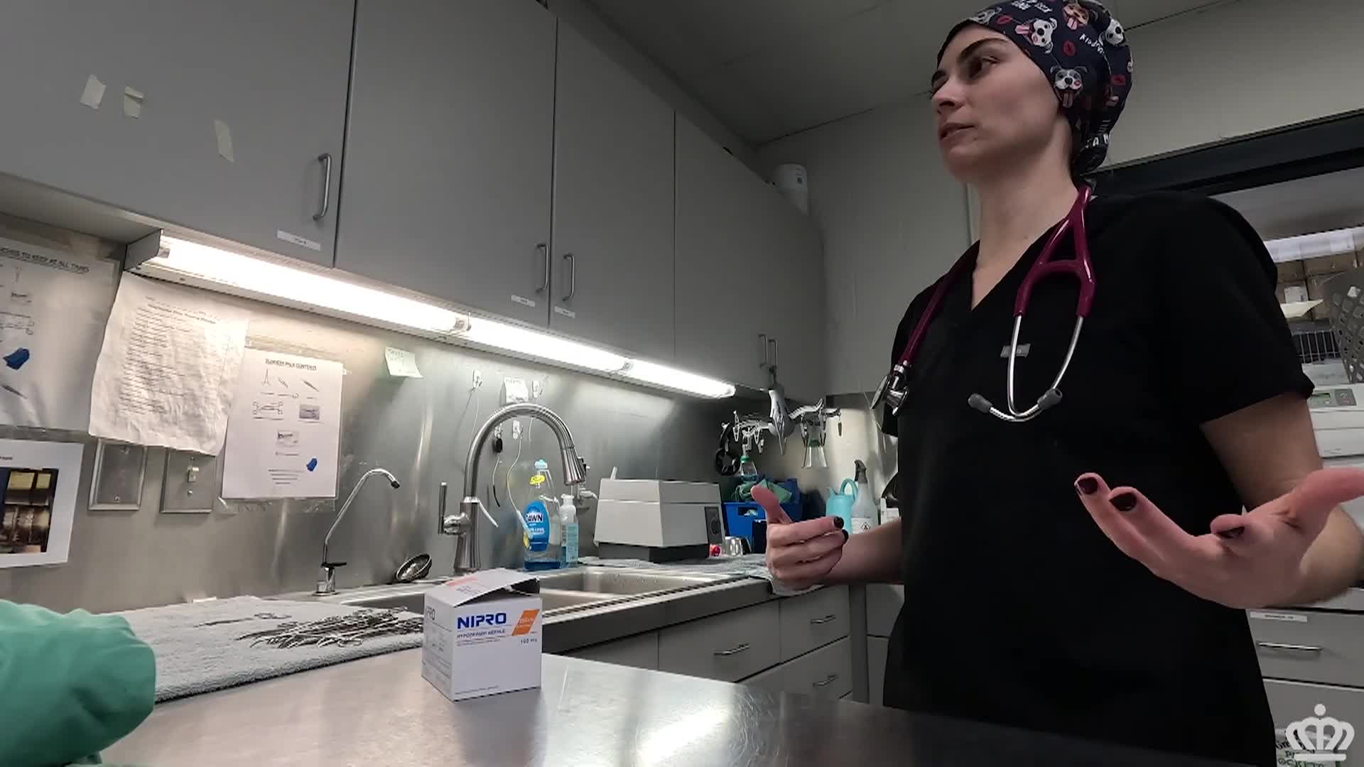 Thumbnail image for Appreciating the Veterinary Team at Animal Care  Control