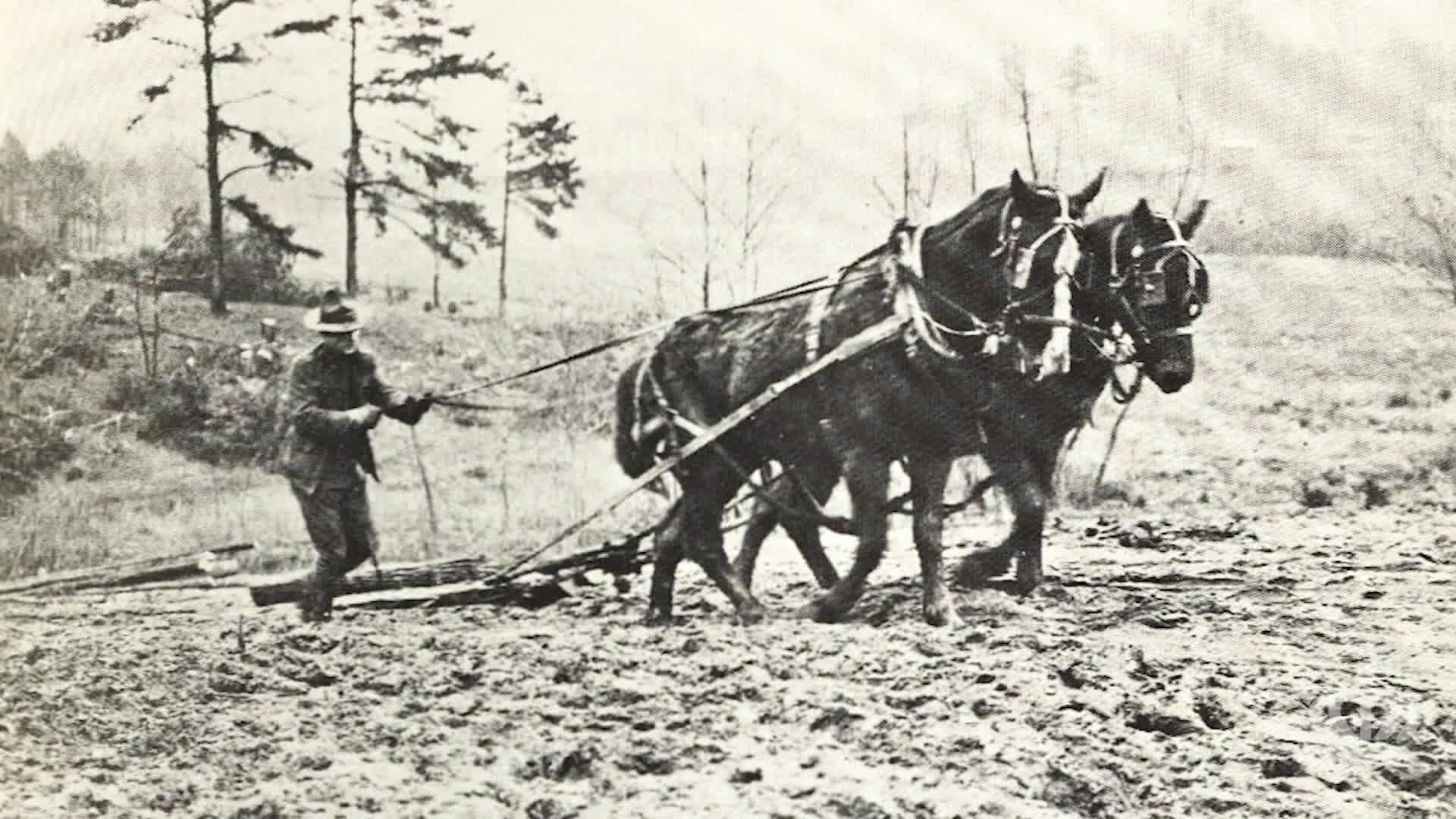 Thumbnail image for The History of the Camp Greene - WWI Boot Camp in Charlotte